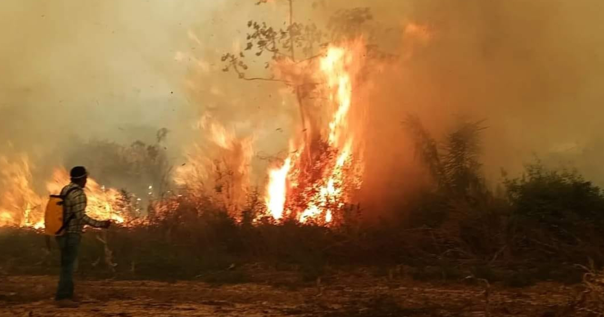 Incendio forestal en Beni (Foto: RRSS)