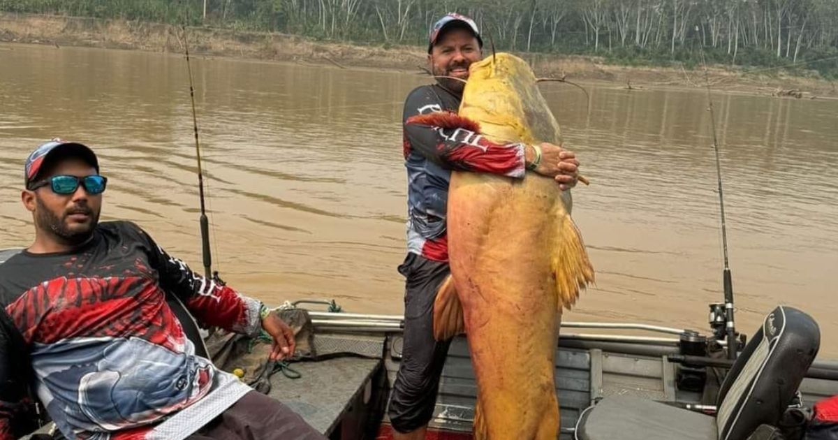 Campeonato Internacional de Pesca (Foto: RRSS) 