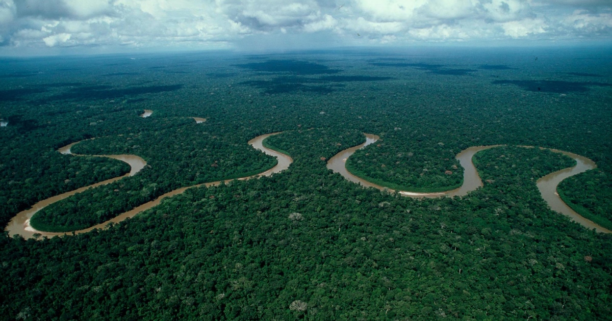 Riqueza hídrica de la Amazonia boliviana (Foto: WWF Bolivia) 