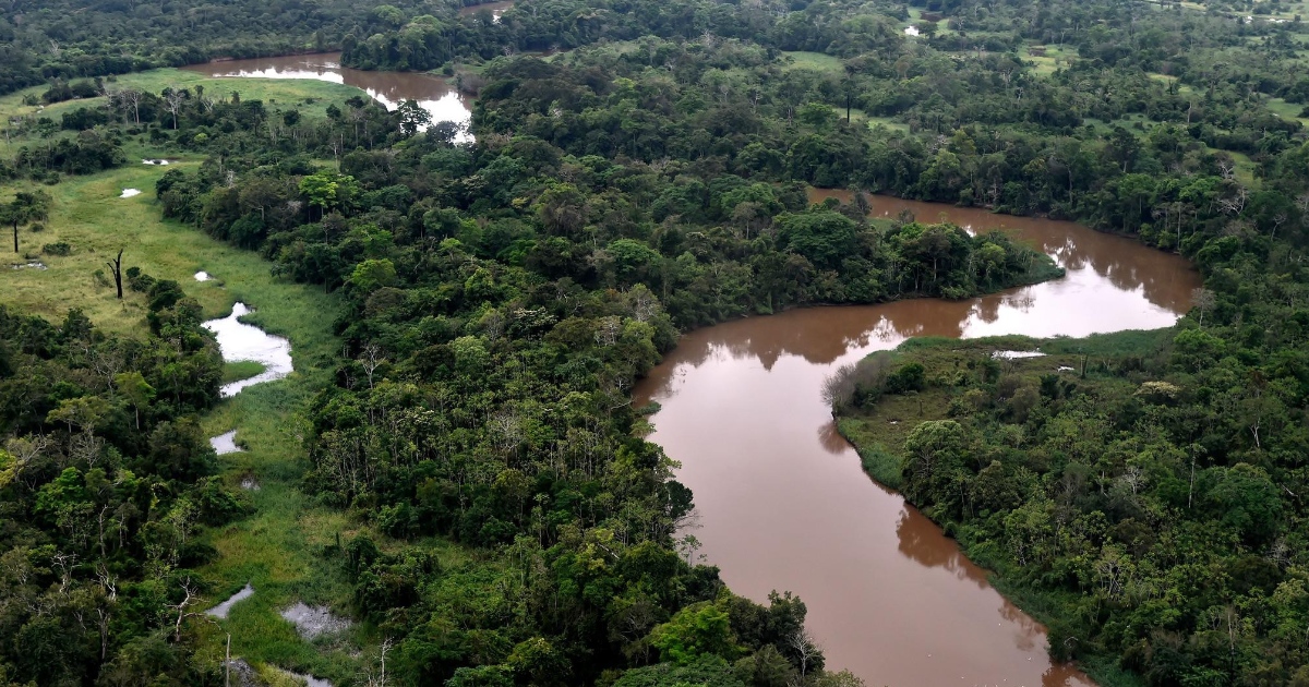 Riqueza hídrica de la Amazonia boliviana (Foto: WWF Bolivia) 