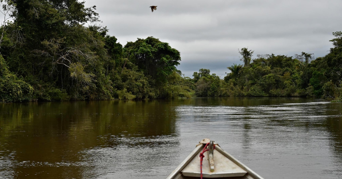 Riqueza hídrica de la Amazonia boliviana (Foto: WWF Bolivia) 