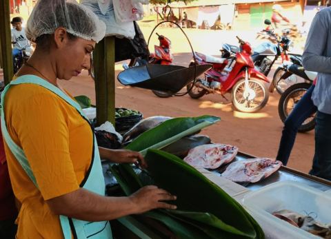 El dunucuabi, el pescado beniano a la brasa (Foto: GAMR)