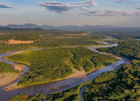 Parque Nacional y Área Natural Madidi (Foto: Identidad Madidi)