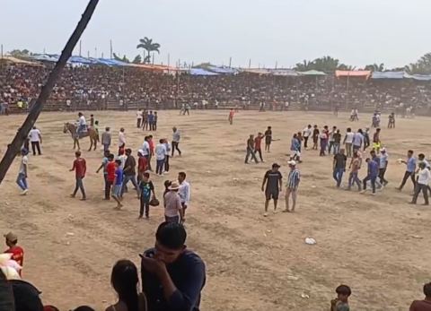 Jocheo de toros en San Borja, Beni (Foto: Captura)