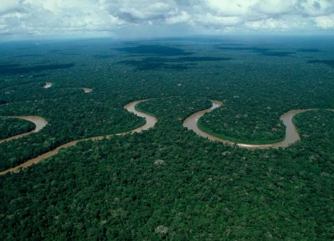 Riqueza hídrica de la Amazonia boliviana (Foto: WWF Bolivia) 