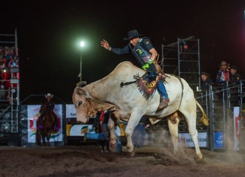 Rodeo Internacional de la Fexposiv 2025 (Foto: Fexposiv) 
