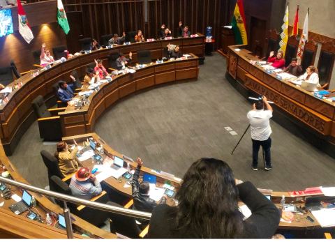 Senado de Bolivia aprueba Día del Barbero (Foto: Mediabol) 