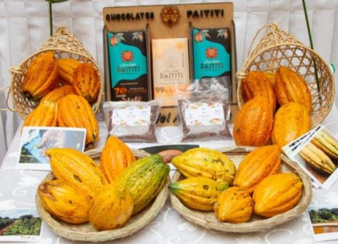 Muestra del cacao amazónico (Foto: MTSCFG) 