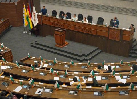 Cámara de Diputados aprueba la Ley 102 (Foto: Cortesía)