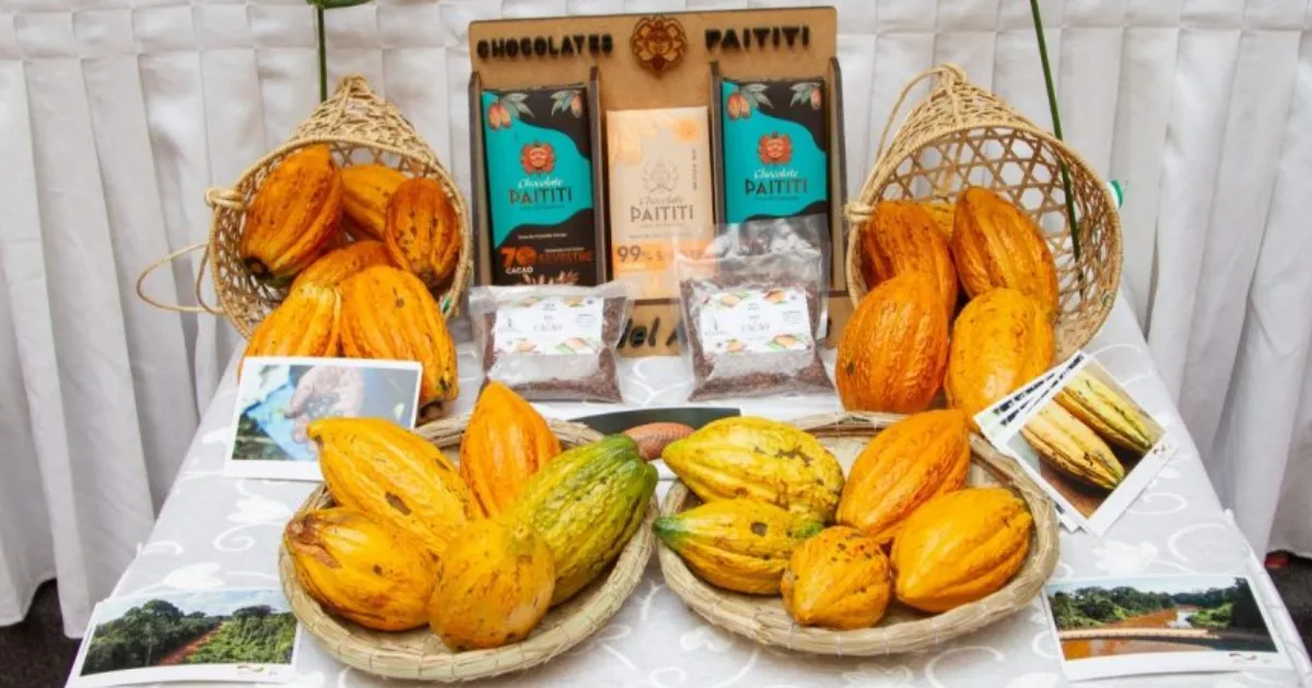 Muestra del cacao amazónico (Foto: MTSCFG) 